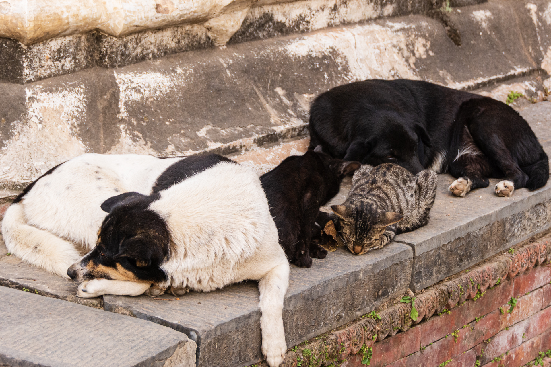 Kathmandu Pashupatinath Temple